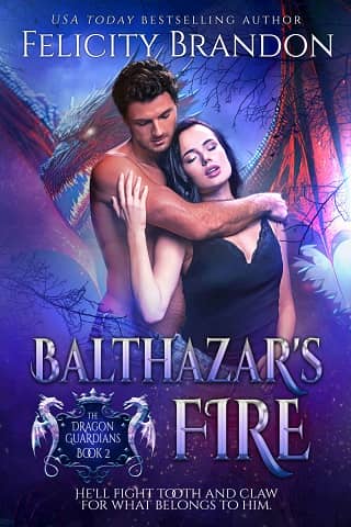 Balthazar’s Fire by Felicity Brandon