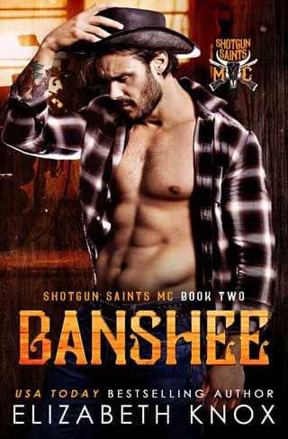 Banshee by Elizabeth Knox