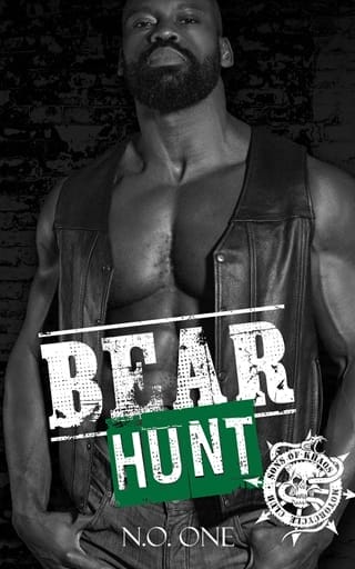 Bear Hunt by N.O. One