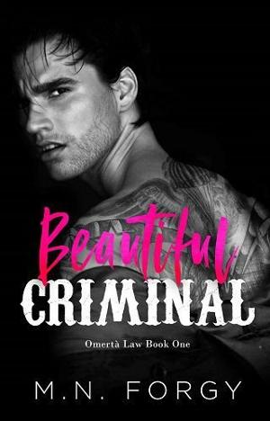 Beautiful Criminal by M.N. Forgy