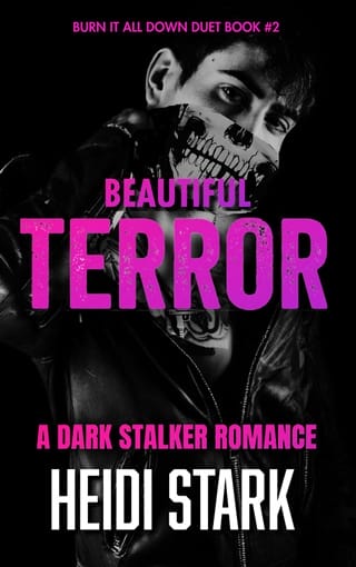 Beautiful Terror by Heidi Stark