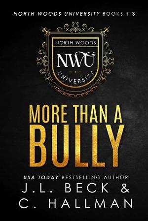 More Than A Bully by J.L. Beck