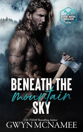 Beneath the Mountain Sky by Gwyn McNamee