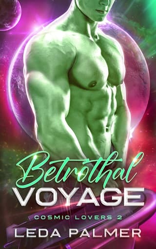 Betrothal Voyage by Leda Palmer