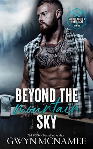Beyond the Mountain Sky by Gwyn McNamee