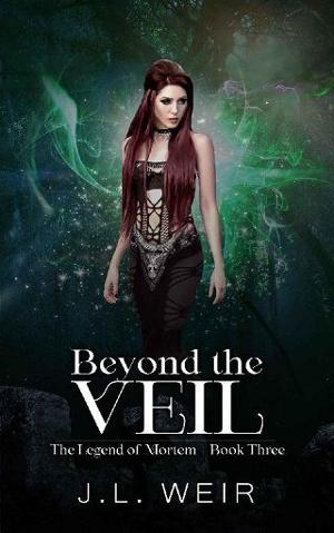 Beyond the Veil by J.L. Weir