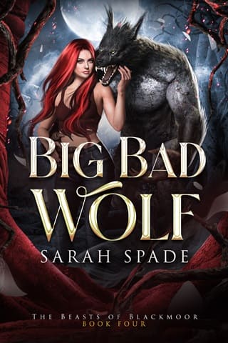 Big Bad Wolf by Sarah Spade