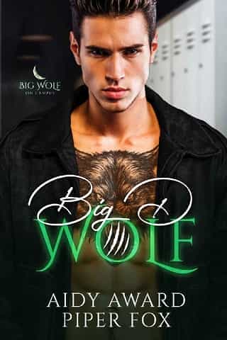 Big D Wolf by Aidy Award