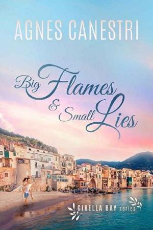 Big Flames Small Lies by Agnes Canestri online free at Epub