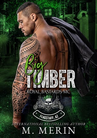 Big Timber by M. Merin