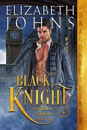 Black Knight by Elizabeth Johns