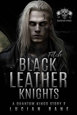 Black Leather Knights: Fetch by Lucian Bane