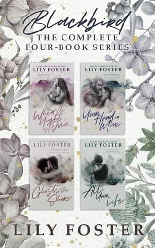 Blackbird: The Complete Series by Lily Foster