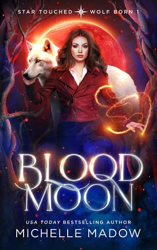 Blood Moon by Michelle Madow