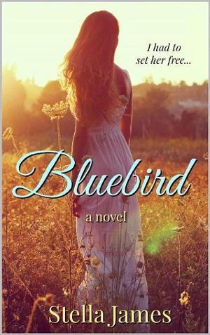 Bluebird by Stella James