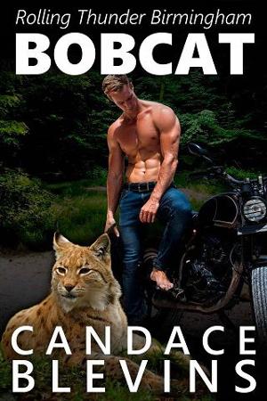 Bobcat by Candace Blevins