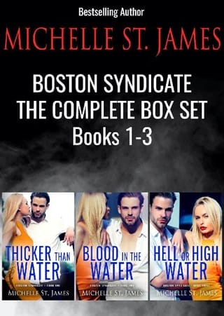 Boston Syndicate Complete #1-3 by Michelle St. James