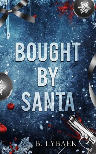 Bought By Santa by B. Lybaek