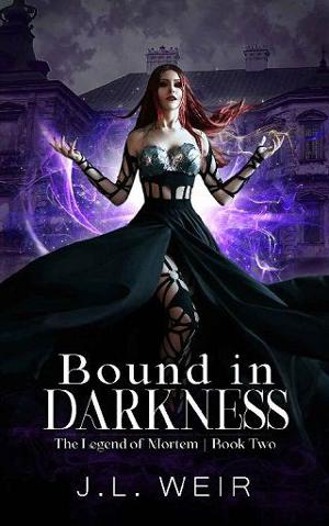 Bound in Darkness by J.L. Weir