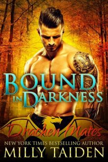Bound in Darkness by Milly Taiden