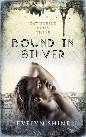 Bound in Silver by Evelyn Shine