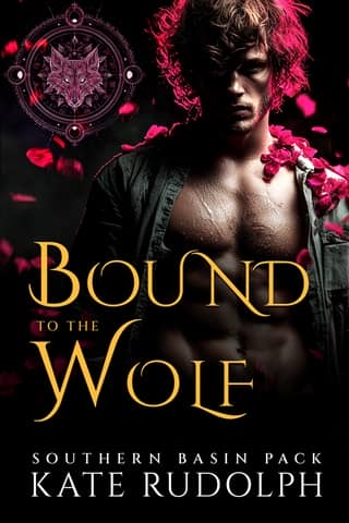 Bound to the Wolf by Kate Rudolph