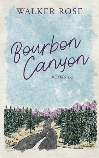Bourbon Canyon Collection: Books 1-3 by Walker Rose