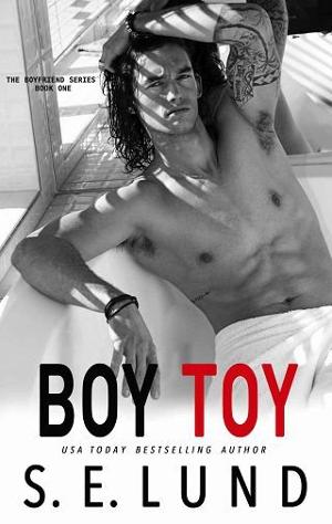 Boy Toy by S.E. Lund