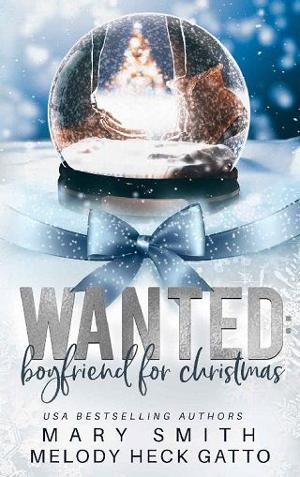 Wanted: Boyfriend for Christmas by Melody Heck Gatto