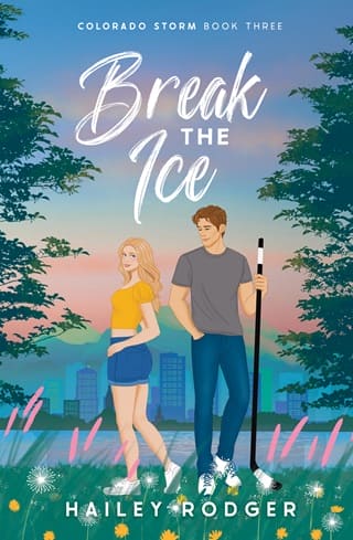 Break the Ice by Hailey Rodger