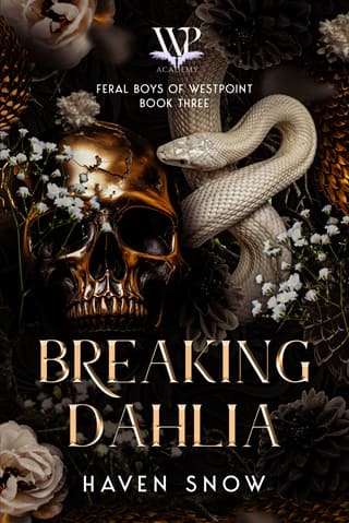 Breaking Dahlia by Haven Snow