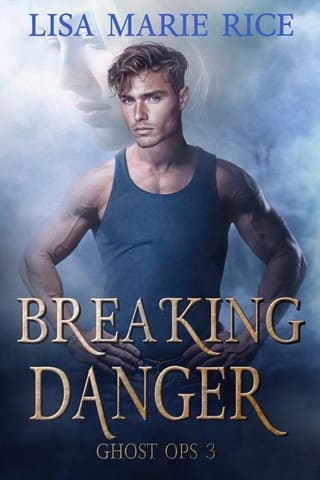 Breaking Danger by Lisa Marie Rice