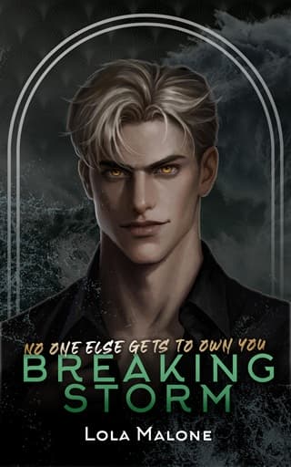 Breaking Storm by Lola Malone