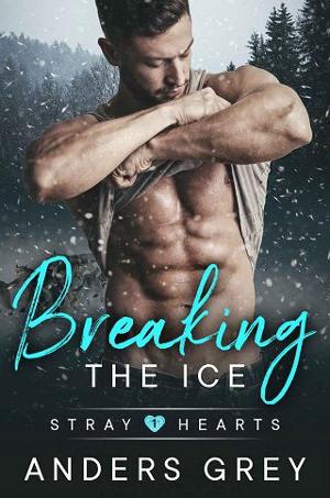 Breaking the Ice by Anders Grey