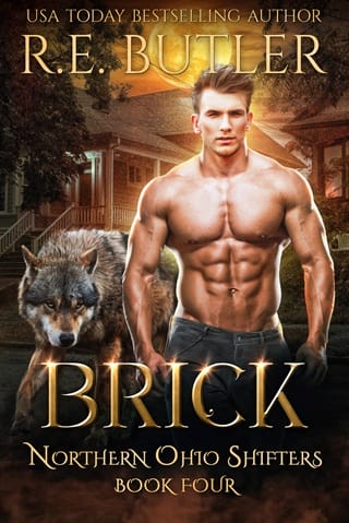 Brick by R. E. Butler