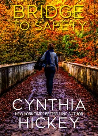 Bridge to Safety by Cynthia Hickey