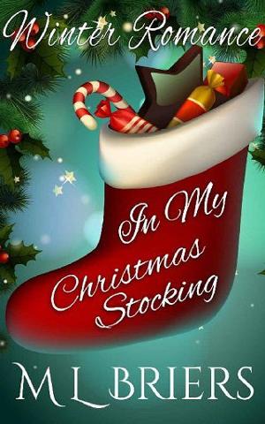 In My Christmas Stocking by M. L. Briers