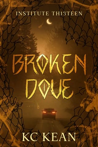 Broken Dove by KC Kean