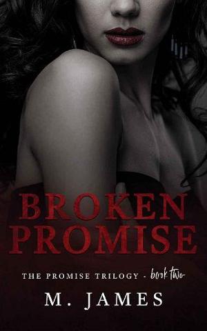 Broken promises 2025 book hm ward