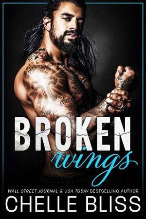 Broken Wings by Chelle Bliss