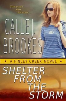 Shelter from the Storm by Calle J. Brookes