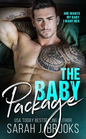 The Baby Package by Sarah J. Brooks