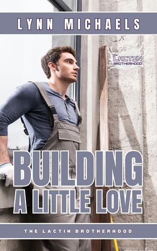 Building A Little Love by Lynn Michaels