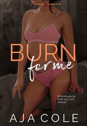 Burn For Me by Aja Cole
