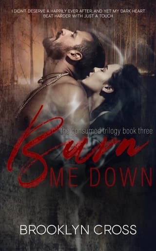 Burn Me Down by Brooklyn Cross