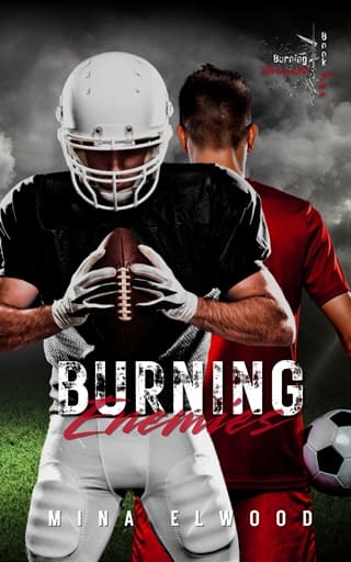 Burning Enemies by Mina Elwood