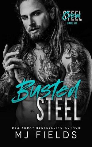 Busted Steel by M.J. Fields