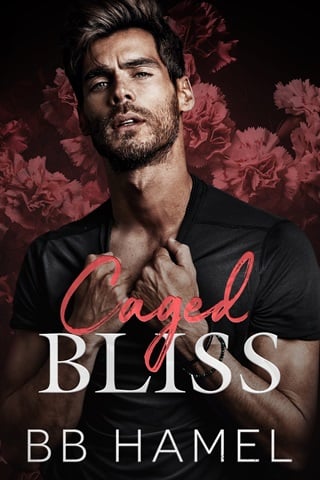 Caged Bliss by B. B. Hamel