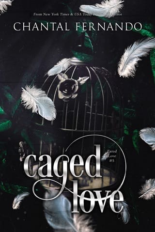 Caged Love by Chantal Fernando