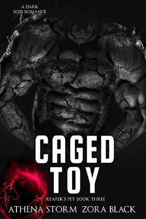 Caged Toy by Athena Storm